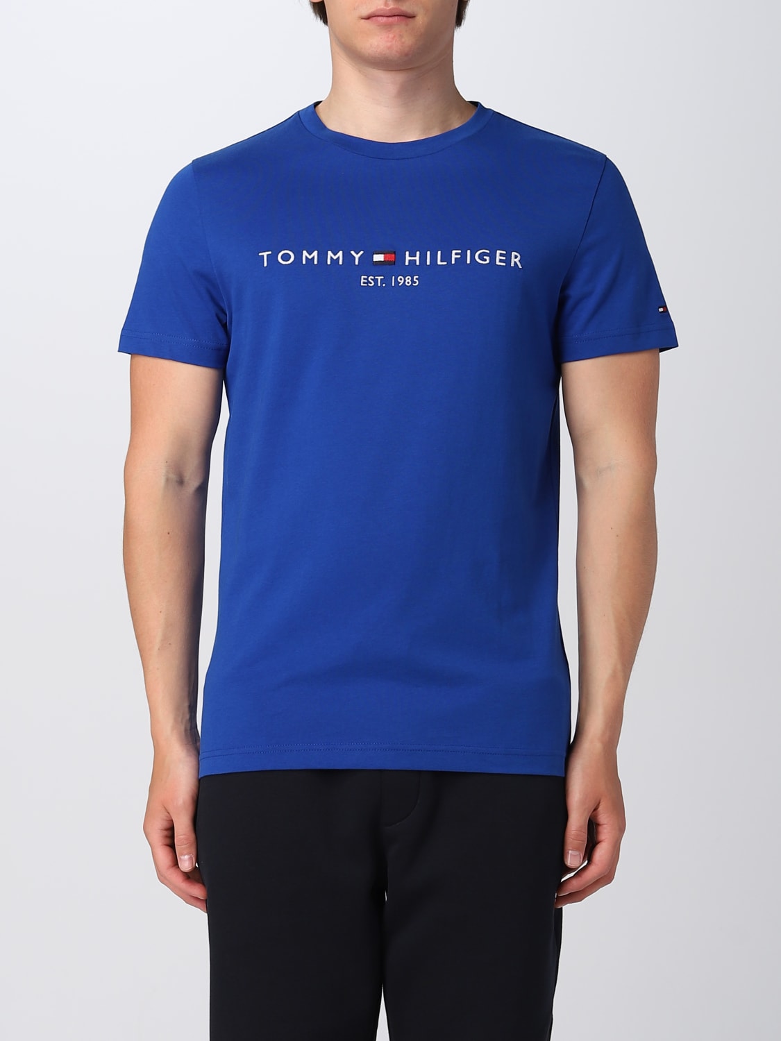TOMMY HILFIGER: cotton t-shirt - Royal Blue | Tommy Hilfiger t-shirt  MW0MW11797 online at