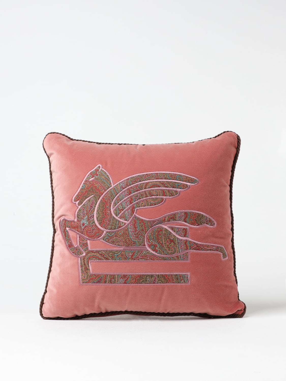 Etro cushions 2025