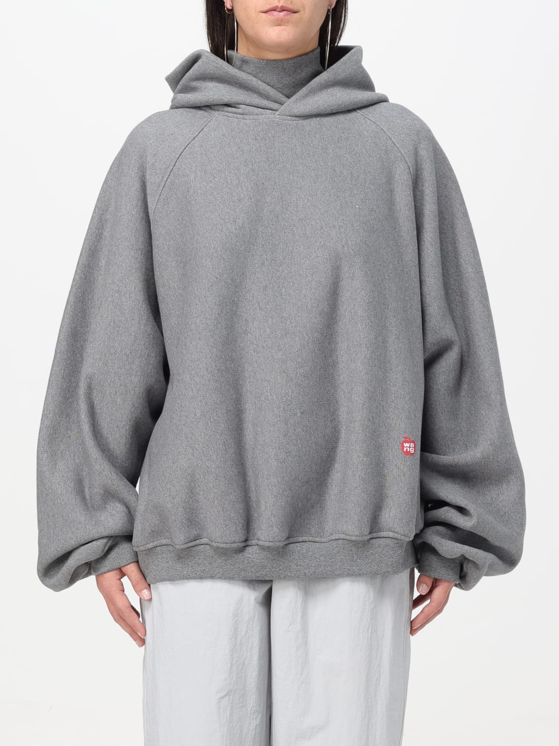 Alexander wang hot sale grey hoodie