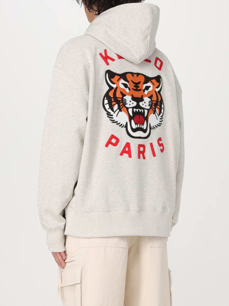 Hollister pink 2024 tiger hoodie