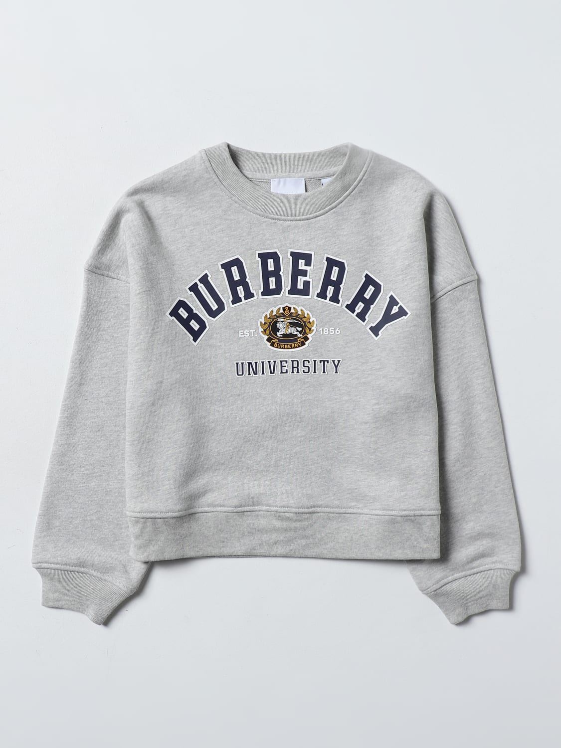 Burberry gray sweater sale