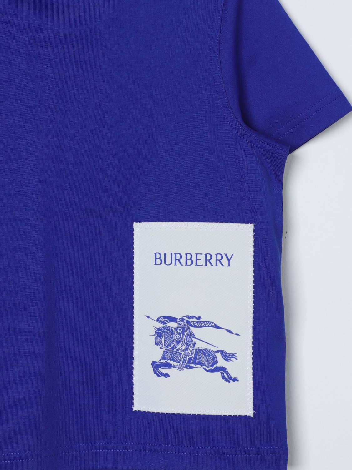 Burberry t sales shirt kids blue