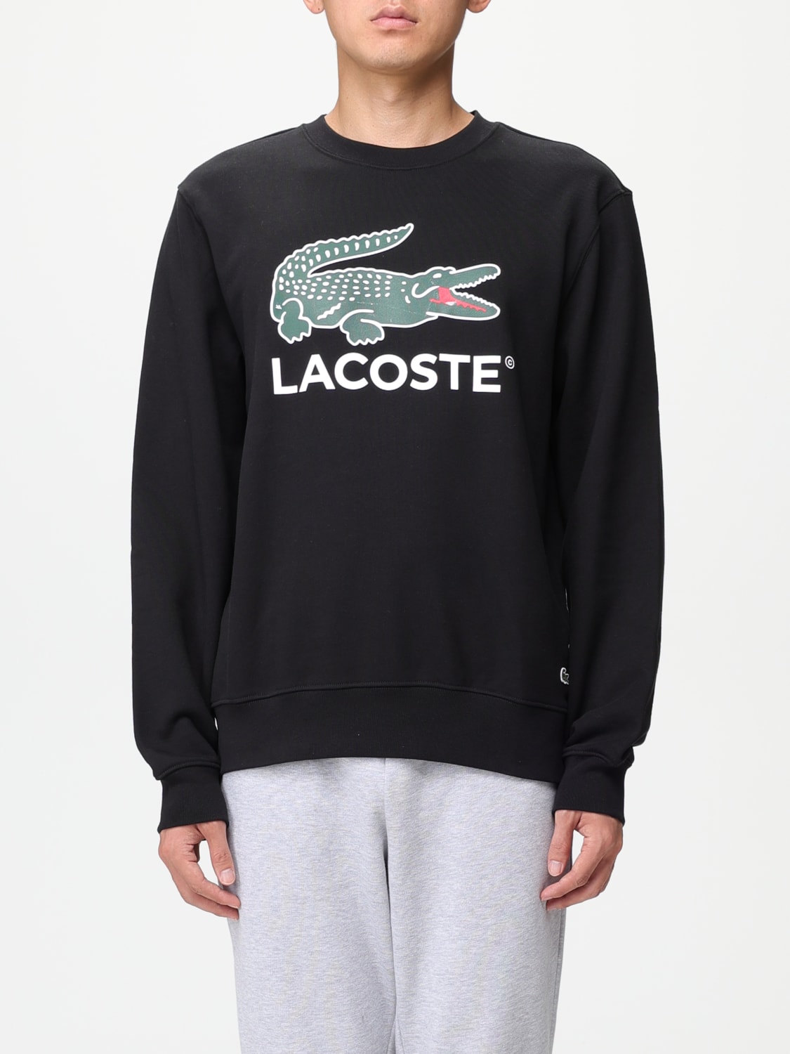 Sweater men Lacoste