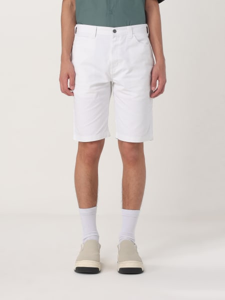 Dickies: Short men Dickies