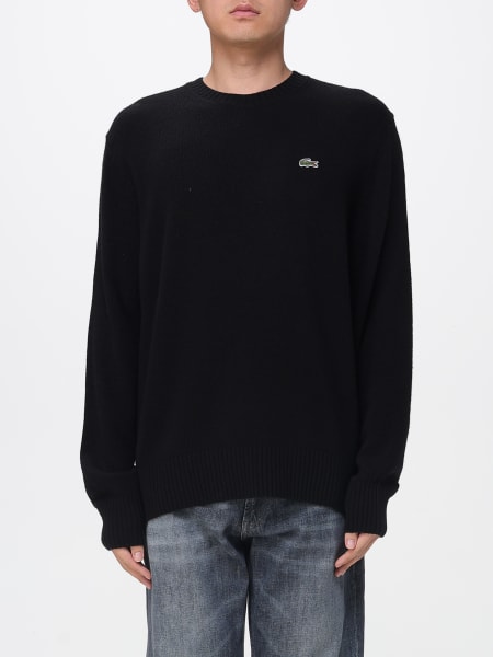Sweater men Lacoste
