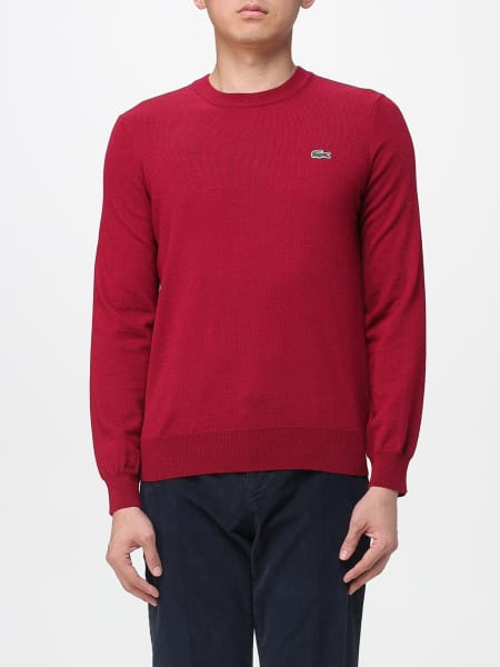 Sweater men Lacoste