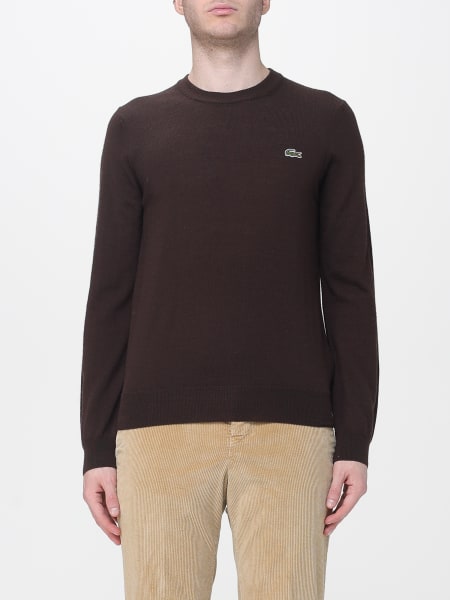 Sweater men Lacoste