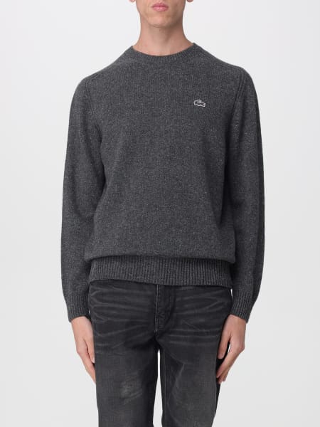 Sweater men Lacoste