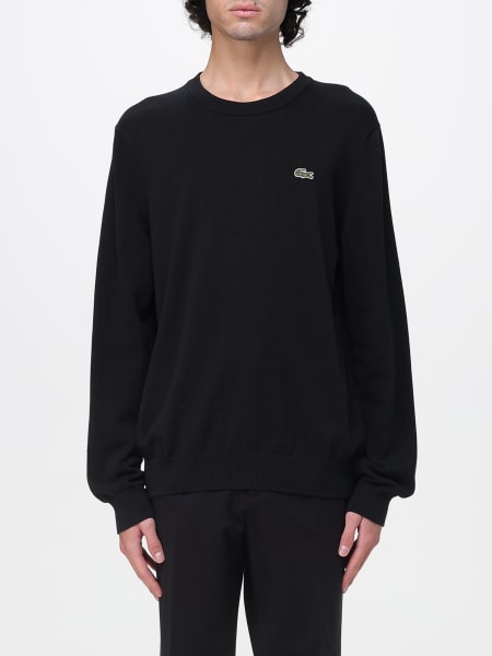 Sweater men Lacoste