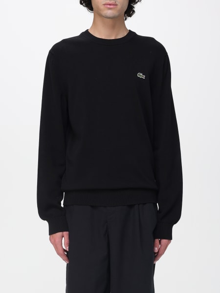 Sweater men Lacoste