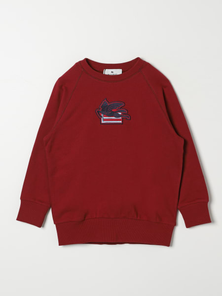 Sweater boys Etro