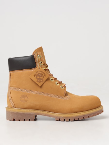 Ботинки челси Мужское Timberland