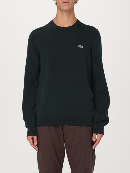 Jumper men Lacoste