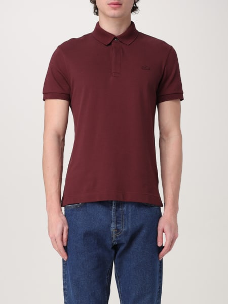 Lacoste: T恤 男士 Lacoste