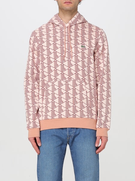 Lacoste: Pullover Herren Lacoste