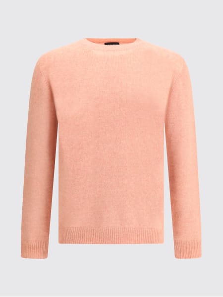 Sweater men Roberto Collina