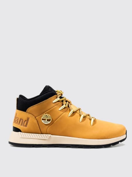 Sneakers men Timberland