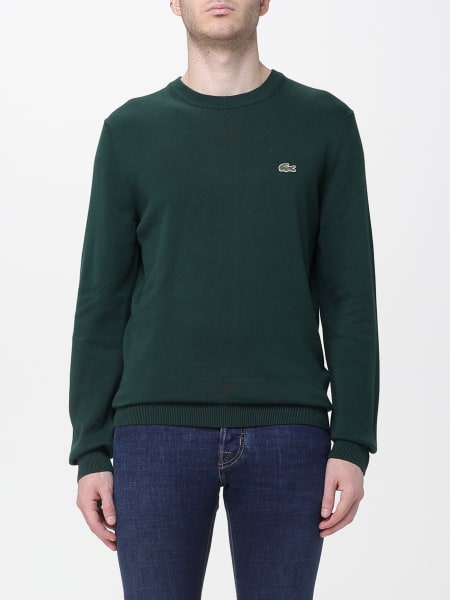 Sweater men Lacoste
