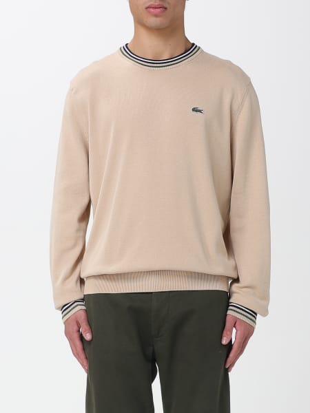 Sweater men Lacoste