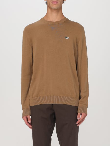 Jumper men Lacoste