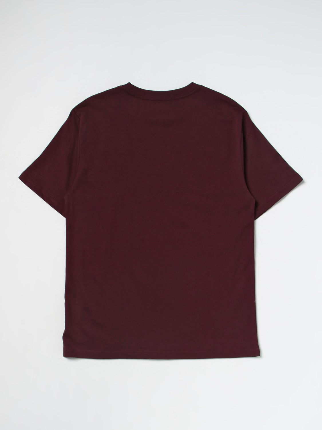 Plain ralph lauren t shirts hotsell