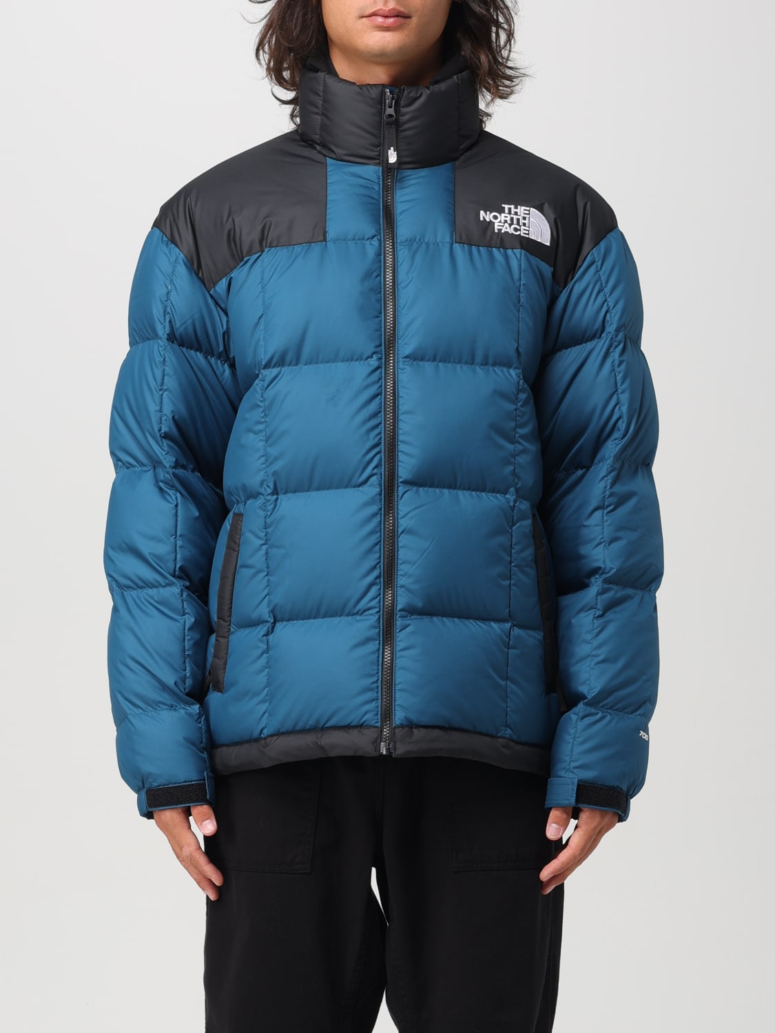 Veste the north face bleu discount