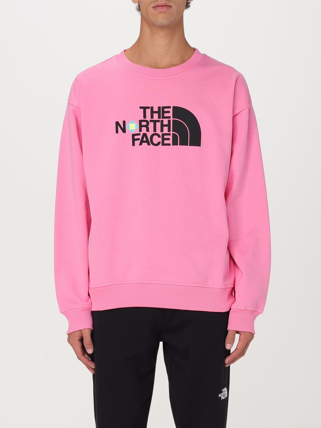 THE NORTH FACE Felpa in cotone con logo Rosa Felpa The North Face NF0A89C8 online su GIGLIO.COM