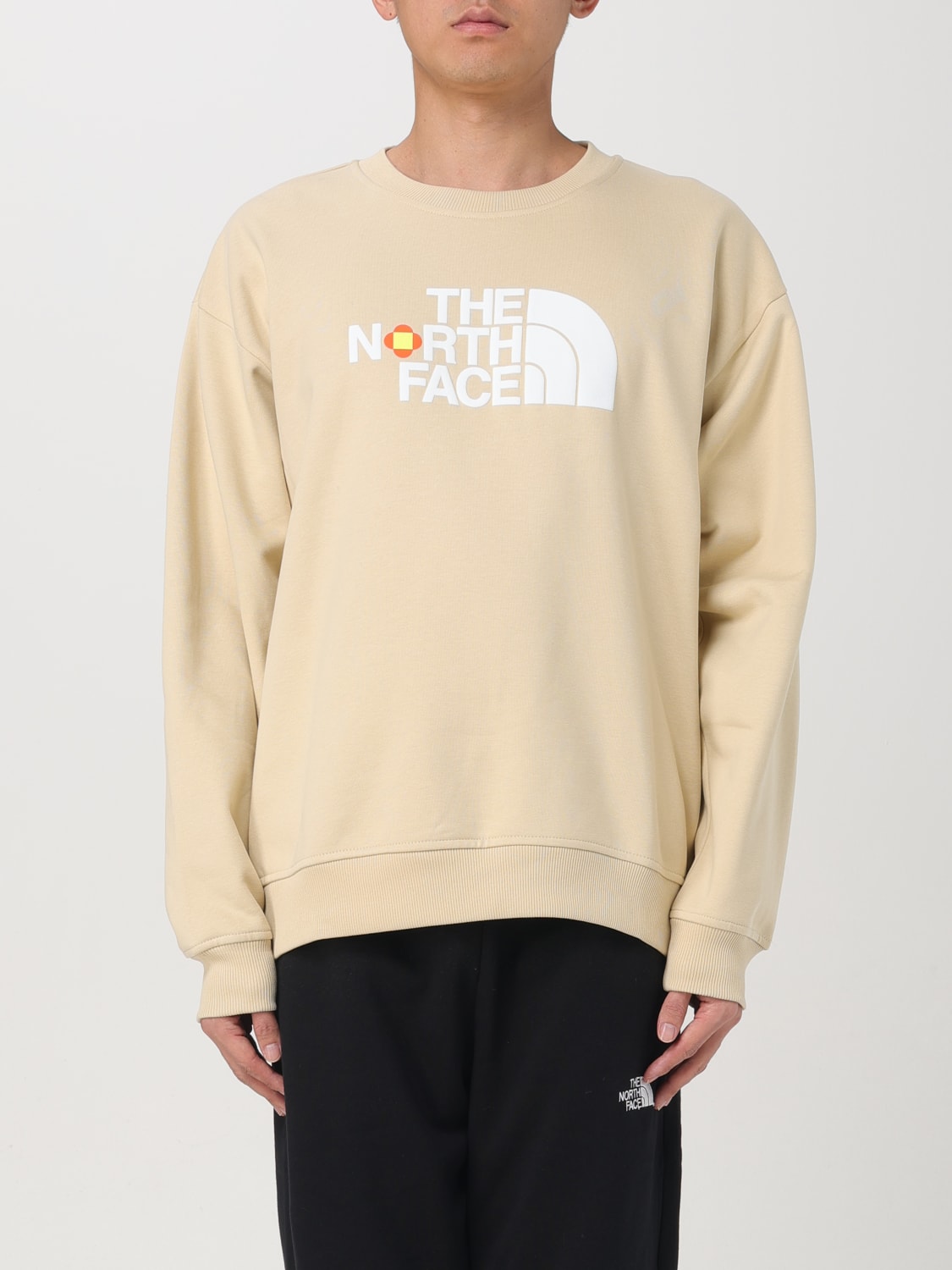 THE NORTH FACE SUDADERA: Sudadera hombre The North Face, Beige - Img 1