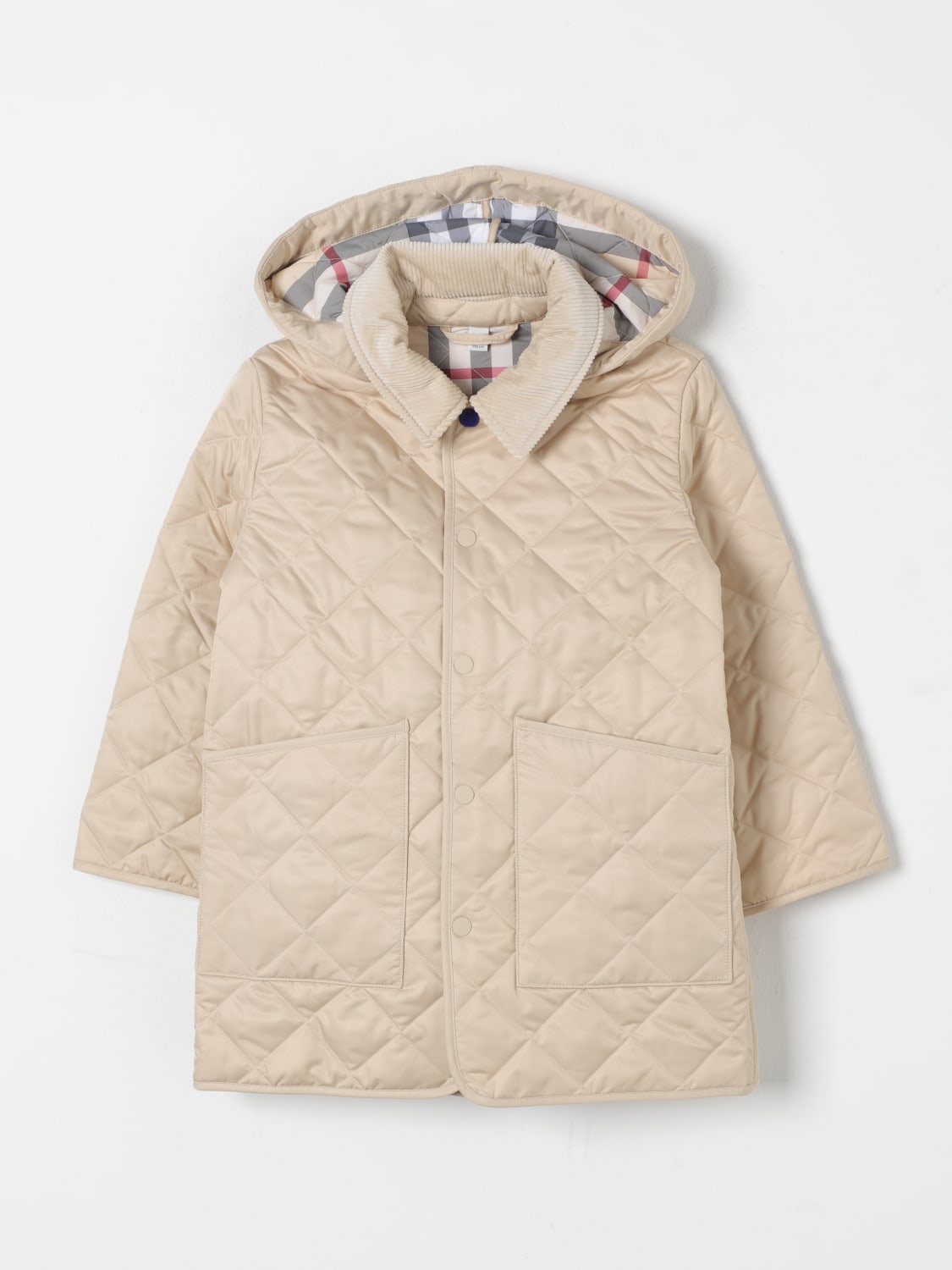 BURBERRY Jacket kids Kids Dove Grey Burberry jacket 8092530 online at GIGLIO.COM