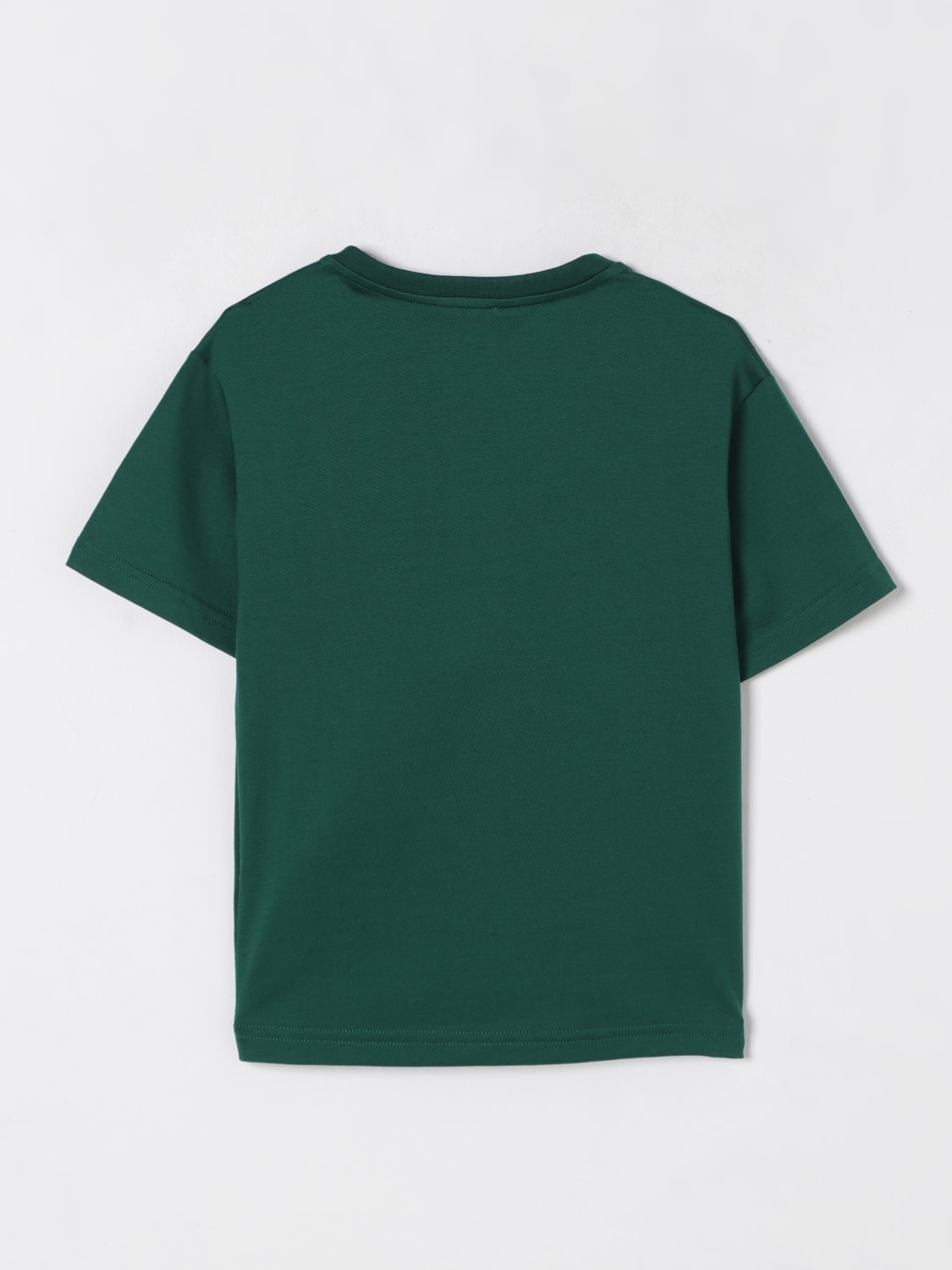 DOLCE & GABBANA T-SHIRT: T-shirt kinder Dolce & Gabbana, Grün - Img 2