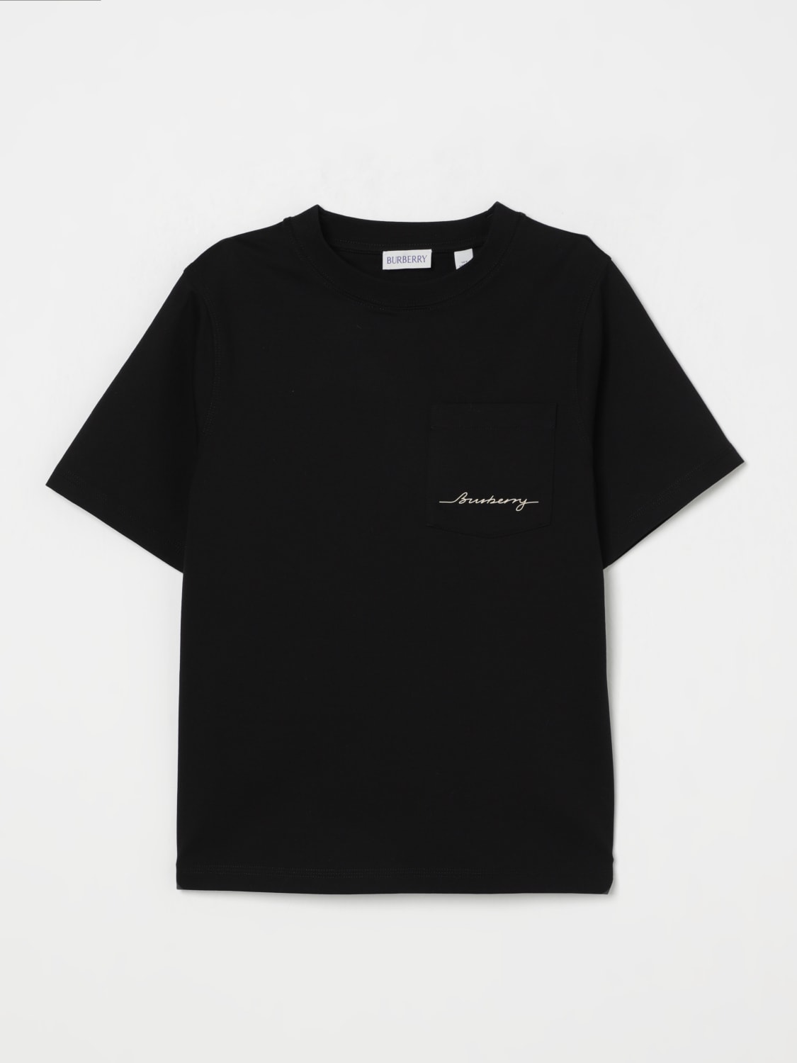 Burberry T-shirt with printed logo | Men's Clothing | Vitkac