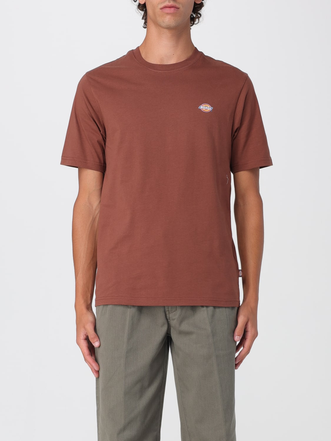 DICKIES CAMISETA: Camiseta hombre Dickies, Marrón - Img 1