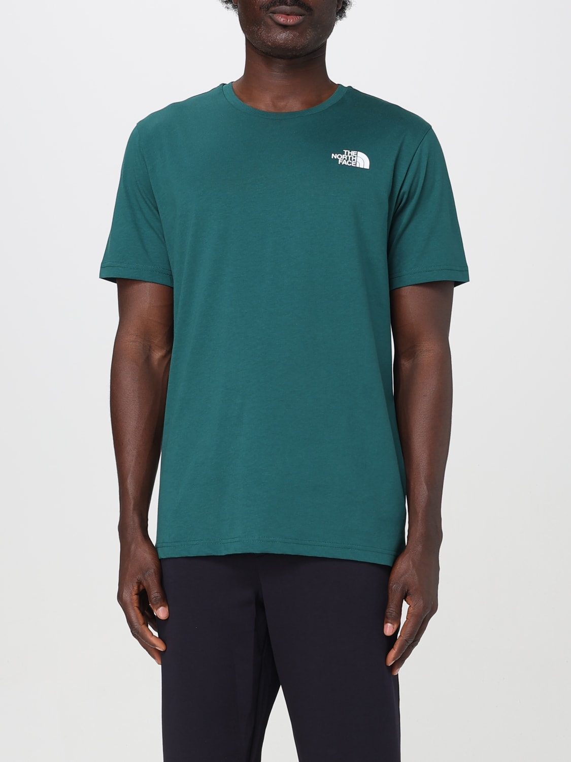 Tシャツ・カットソー THE NORTH FACE Men T-shirt Green NF0A87NP A1B1 THE NORTH FACE：Tシャツ メンズ - グリーン | GIGLIO.COM
