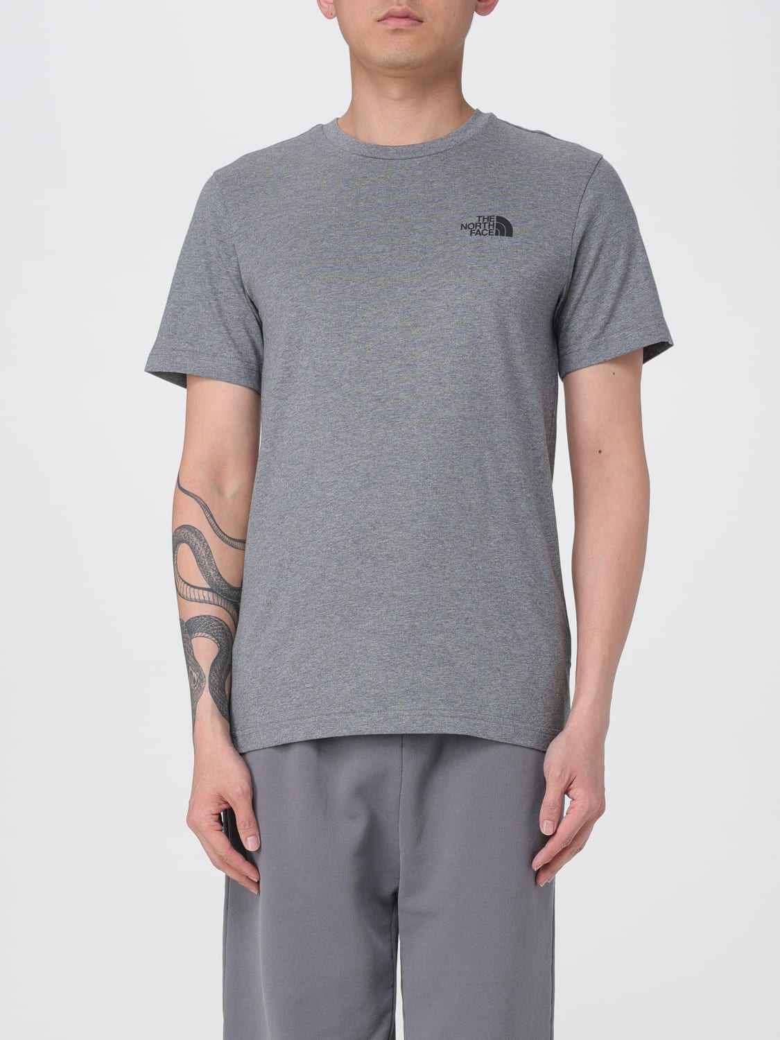 THE NORTH FACE T-SHIRT: T-shirt in cotone The North Face, Grigio - Img 1