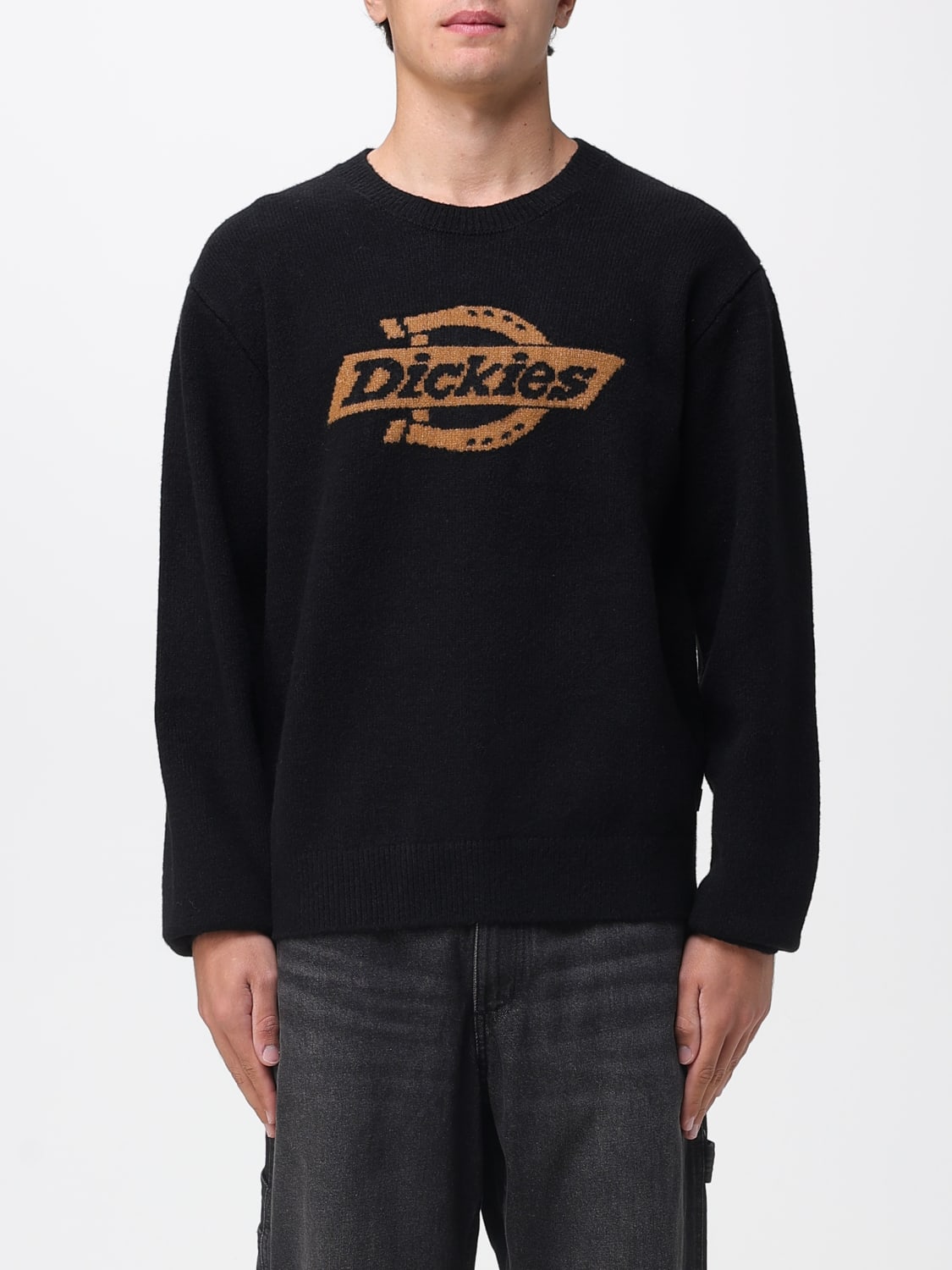 DICKIES SWEATER: Sweater men Dickies, Black - Img 1