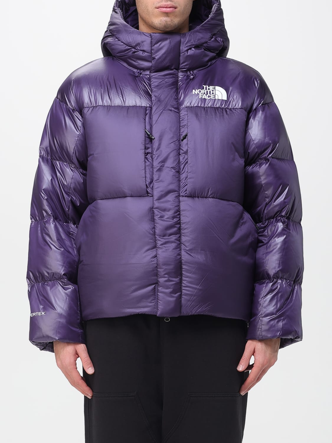 THE NORTH FACE JACKET: Jacket men The North Face, Violet - Img 1