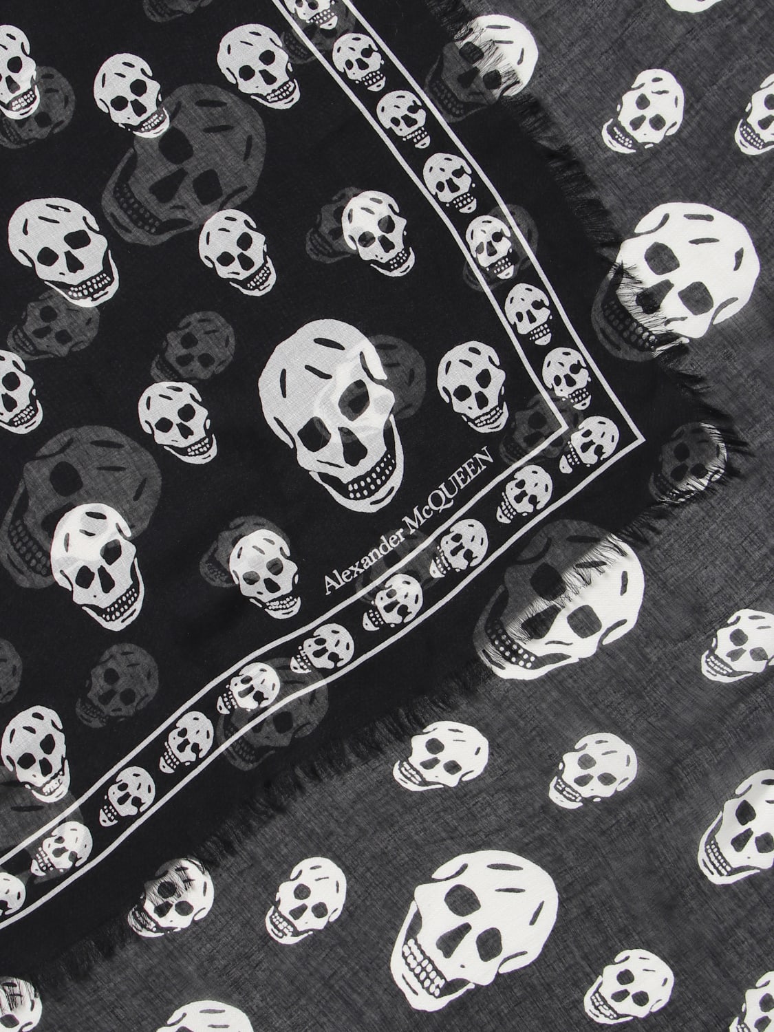 Skull Alexander McQueen scarf in silk blend