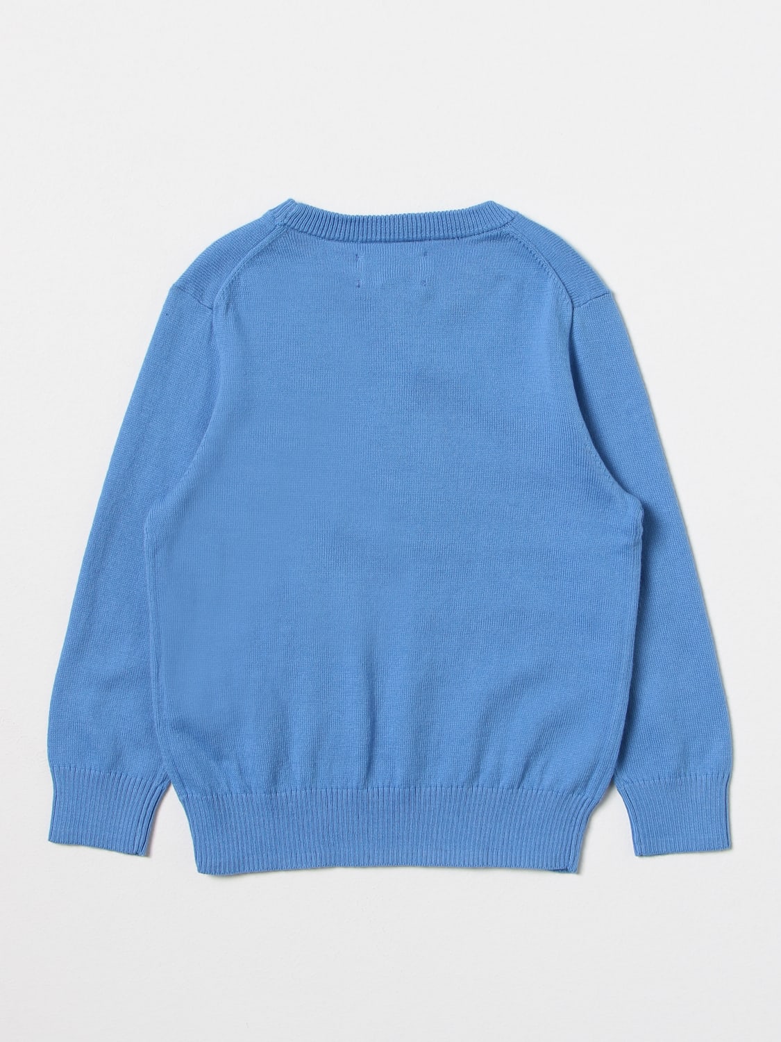 Sweater POLO RALPH LAUREN Kids color Blue