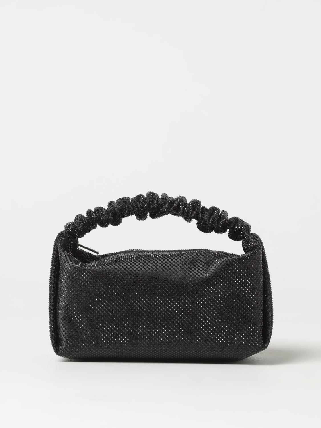 Purchases Alexander Wang Purse