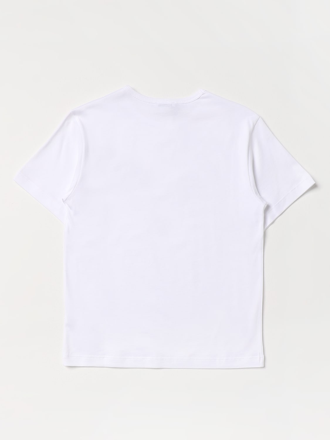 DOLCE & GABBANA T-SHIRT: Dolce & Gabbana cotton t-shirt, White - Img 2