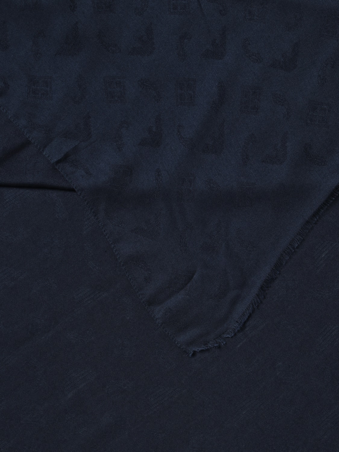 EMPORIO ARMANI SCARF: Emporio Armani scarf in viscose blend, Blue - Img 3