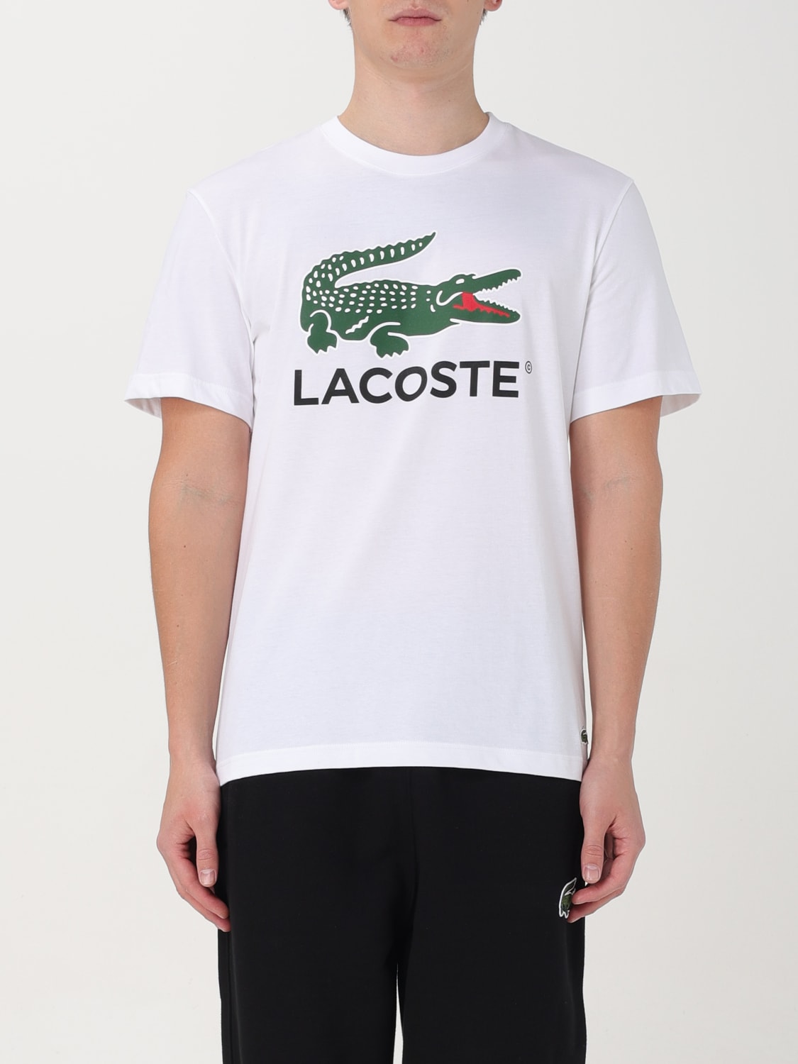 LACOSTE: T-shirt men - White | Lacoste t-shirt TH1285 online at GIGLIO.COM