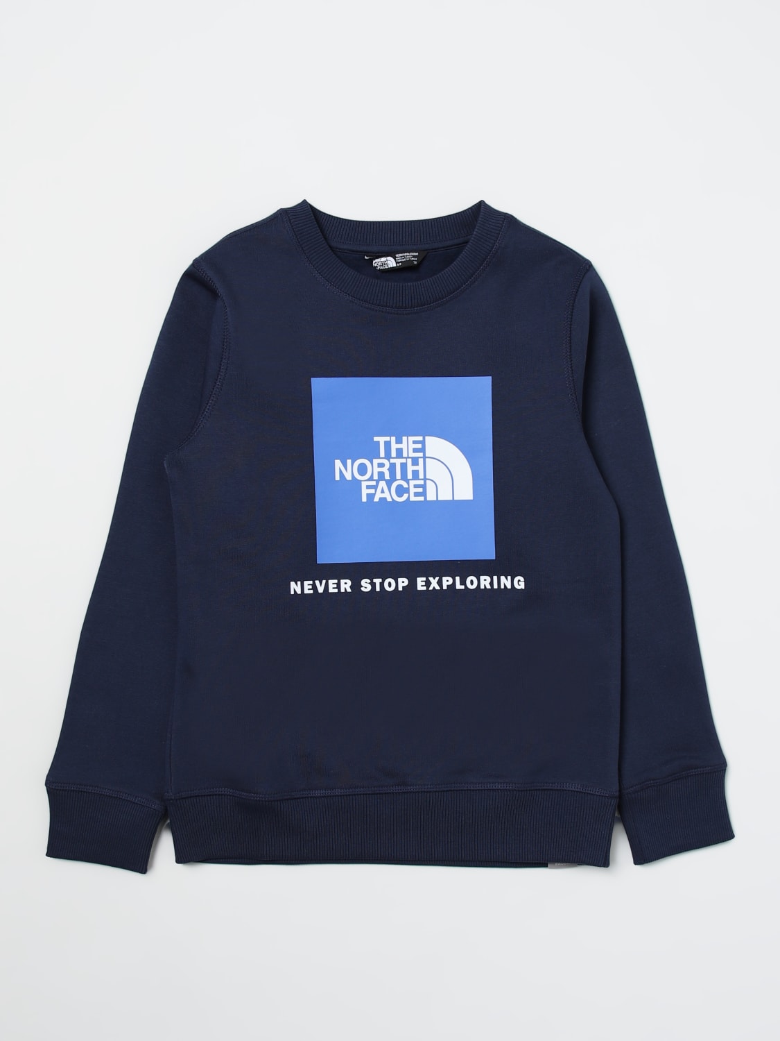 North face blue sweater sales