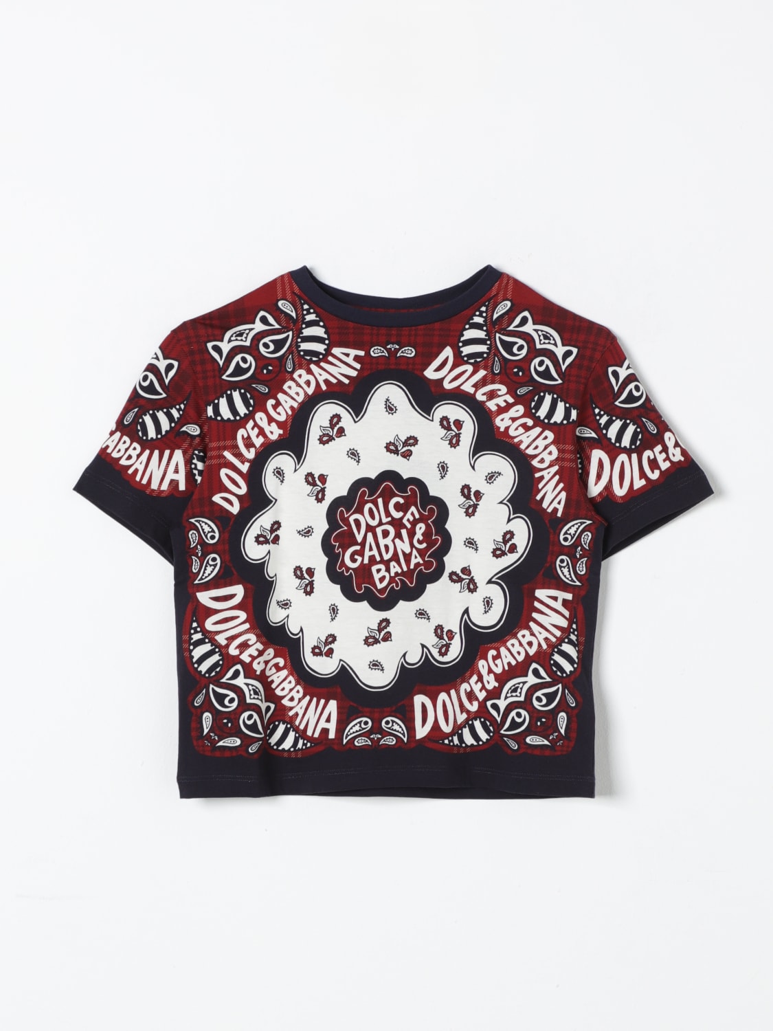 DOLCE & GABBANA T-SHIRT: T-shirt kids Dolce & Gabbana, Brown - Img 1