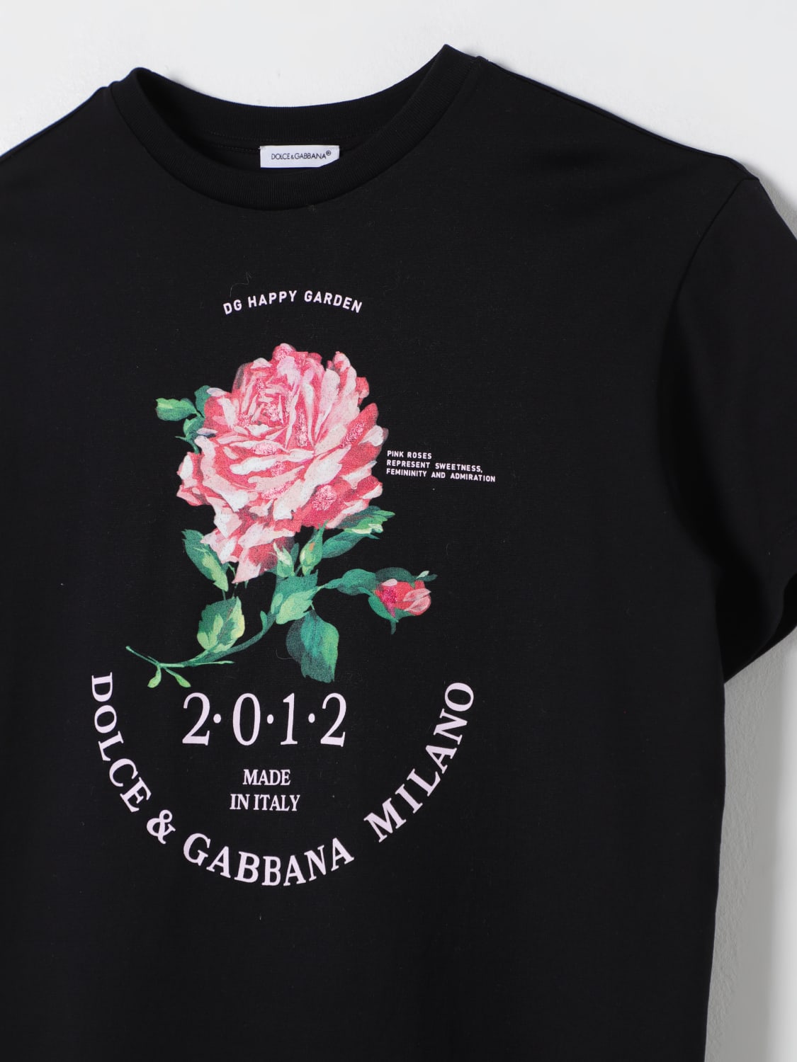 DOLCE & GABBANA T-SHIRT: T-shirt kids Dolce & Gabbana, Black - Img 3