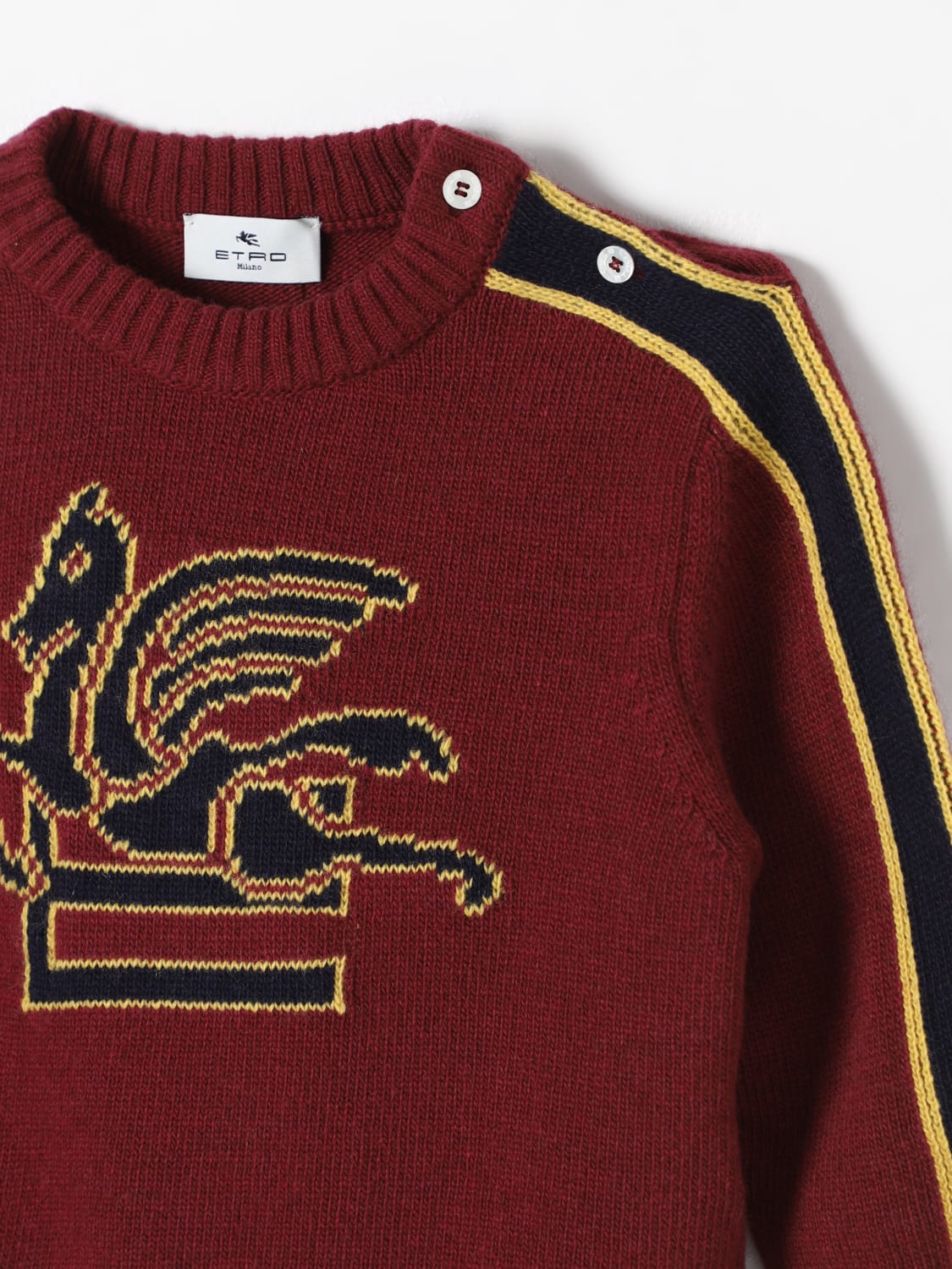 ETRO MAGLIA: Maglia a girocollo Pegaso Etro, Marrone - Img 3