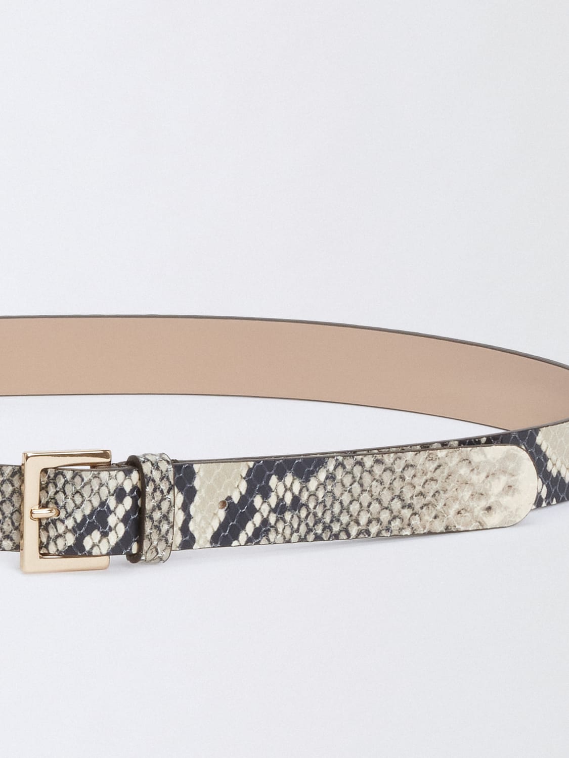 ベルト FABIANA FILIPPI Woman Belt Mastic AAD265A973L252 0150 FABIANA FILIPPI: Belt woman - Mastic | Fabiana Filippi belt