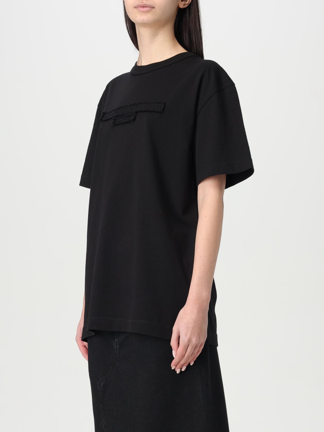 美品 ALEXANDER WANG ブラック Tシャツ ハイネック 【S】 ALEXANDER WANG(アレキサンダーワン) ハイネックスウェット