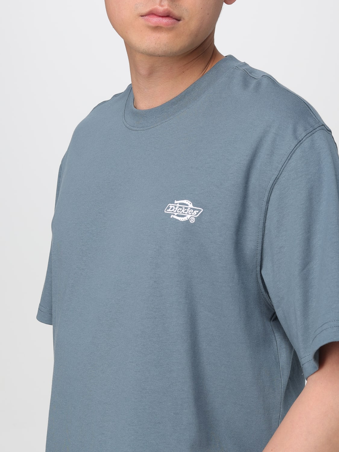 DICKIES T-SHIRT: T-shirt herren Dickies, Avion - Img 3