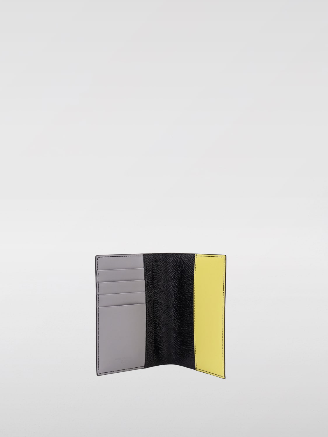 DOLCE & GABBANA WALLET: Wallet men Dolce & Gabbana, Multicolor - Img 2